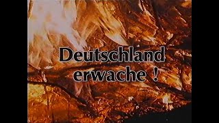 Deutschland erwache  Die Wiedervereinigung der NeoNazis 1990 Doku Deutsch [upl. by Kall]