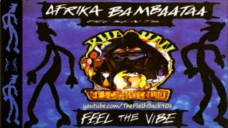 Afrika Bambaataa  Feel The Vibe Extended Mix [upl. by Shayna]