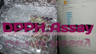 DPPH Assay 22diphenyl1picrylhydrazyl [upl. by Sisxela]