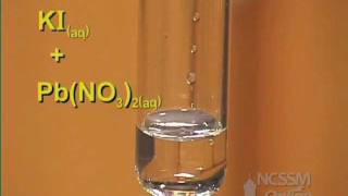 Double Displacement Lead Nitrate and Potassium Iodide [upl. by Sel]