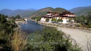 Punakha Dzong Fortress in Bhutan [upl. by Ahsote]