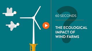 Ecological impact of wind turbines  IN 60 SECONDS [upl. by Rengia]