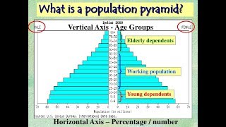 Population Pyramids AP Human Geography [upl. by Ethelbert]