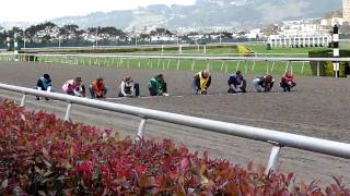 Wiener dog races Final [upl. by Caron]