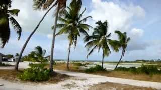 Kiritimati island drive [upl. by Llejk100]