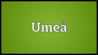 Umeå Meaning [upl. by Odradlig]