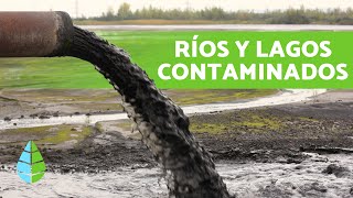 CAUSAS y CONSECUENCIAS de la CONTAMINACIÓN de LAGOS y RÍOS [upl. by Imat]