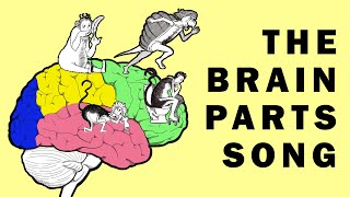 Parts of the Brain Song [upl. by Foy]