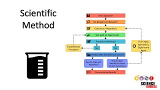 The Scientific Method Steps and Examples [upl. by Risa908]