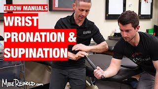 Forearm Pronation and Supination Manual Exercises [upl. by Anyrtak]