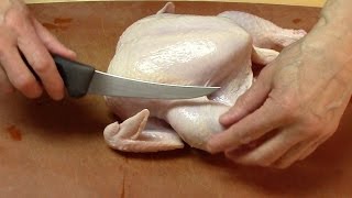 How To Cut Up a Whole Chicken [upl. by Caras444]