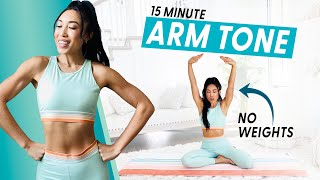 15 Minute Arm Burnout weightless upper body workout [upl. by Bethanne635]