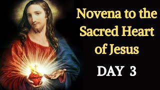 Sacred Heart Novena  Day 3 [upl. by Ahsiner]