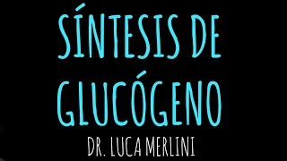 Síntesis de Glucógeno [upl. by Reiser]