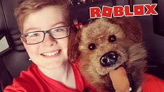 Playing Roblox with Hacker the talking dog [upl. by Beale628]