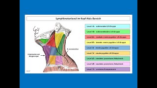 Lymphknotenlevel im KopfHalsBereich  Strahlentherapie Prof Hilke Vorwerk [upl. by Nethsa]