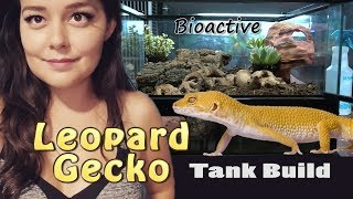 Leopard Gecko Tank Setup  Bioactive Terrarium [upl. by Bollay486]