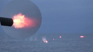 CIWS Gatling Gun amp Mk38 Chain Gun Open Fire On Target Boats [upl. by Ahsen]