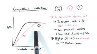 AS Biology  Enzyme inhibition OCR A Chapter 43 [upl. by Sagerman]