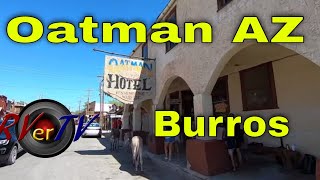 Oatman Arizona  Ghost Town  Gold Mines US Route 66 [upl. by Pirnot]