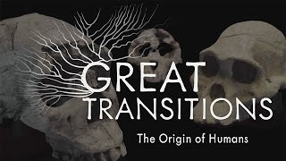 Great Transitions The Origin of Humans — HHMI BioInteractive Video [upl. by Maher262]