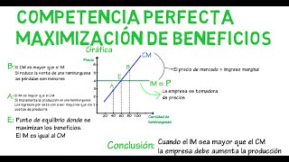 Competencia perfecta maximización de beneficios  Cap 18  Microeconomía [upl. by Brenk923]