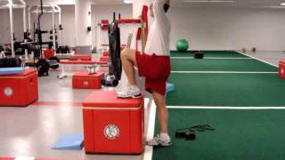 Psoas Iliacus Strengthening Exercises [upl. by Annairda]