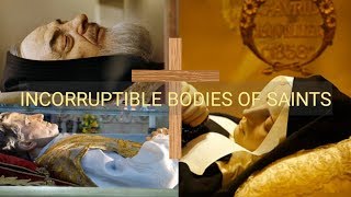 INCORRUPTIBLE BODIES OF SAINTS [upl. by Bena278]