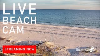 Live Beach Cam Orange Beach Alabama [upl. by Jeuz396]