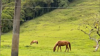 Beautiful Countryside Drive in Brazil part 1 [upl. by Fan692]