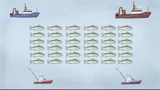 Fisheries Economics amp Policy Intro to Fisheries Management [upl. by Ahteral846]