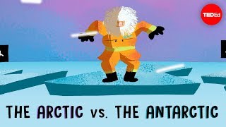 The Arctic vs the Antarctic  Camille Seaman [upl. by Anigger]