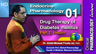 Endocrine Pharmacology Ar  01  Diabetes mellitus  Part 1 Insulin [upl. by Gamin]