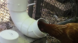 DIY Rodent Proof Chicken Feeders [upl. by Levins]