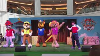 Paw Patrol Show  Live Real Mascot Video Episode [upl. by Nerrej]