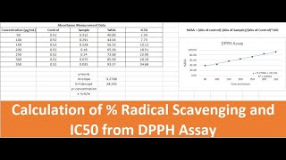 Radical Scavenging Activity Measurement and IC50 Calculation DPPH Assay in Excel [upl. by Norvol]