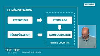 Les 4 étapes de la mémorisation [upl. by Yrrak]