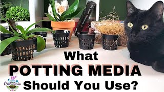 How To Choose The Right Potting Medium for Your Orchid [upl. by Yennor41]