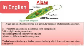 Algae  General Characteristics Thallus structure reproduction classification and economic imp [upl. by Tabber]