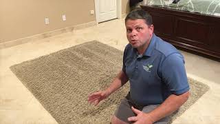 How To Properly Clean Area Rugs On Site [upl. by Anilem]