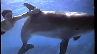 Flipper 1996 Teaser VHS Capture [upl. by Giusto160]