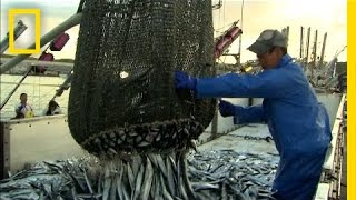 How More Efficient Fishing Can Protect the Ocean  National Geographic [upl. by Llyrpa269]