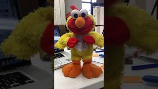 Chicken Dance With Elmo Sesame Street [upl. by Justinn]