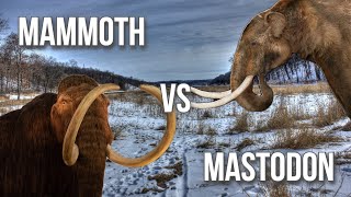 Mammoth v Mastodon [upl. by Liuka]