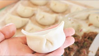 How to Make Chinese Dumplings From Scratch [upl. by Anaj]