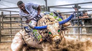 10 Most Dangerous Bulls of Rodeo History [upl. by Donell17]