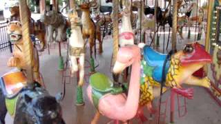 audubon zoo carousel [upl. by Pfeifer]