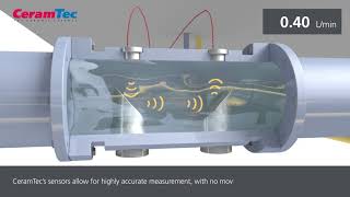 Ultrasonic Flow Sensor [upl. by Hakkeber697]