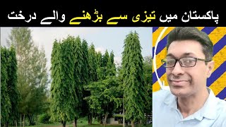 Plant Trees  Pak trees  Fast growing trees in Pakistan  Billion Tree Pakistan Darakht Lagana [upl. by Edurtreg]