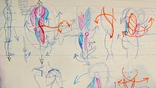 How to Draw Human Anatomy Part 1  Beginner Introduction [upl. by Attelrahs]